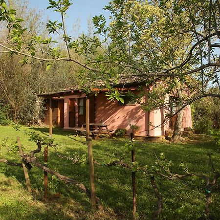 Casale Vigna Carbona ξενώνας Gavorrano Εξωτερικό φωτογραφία