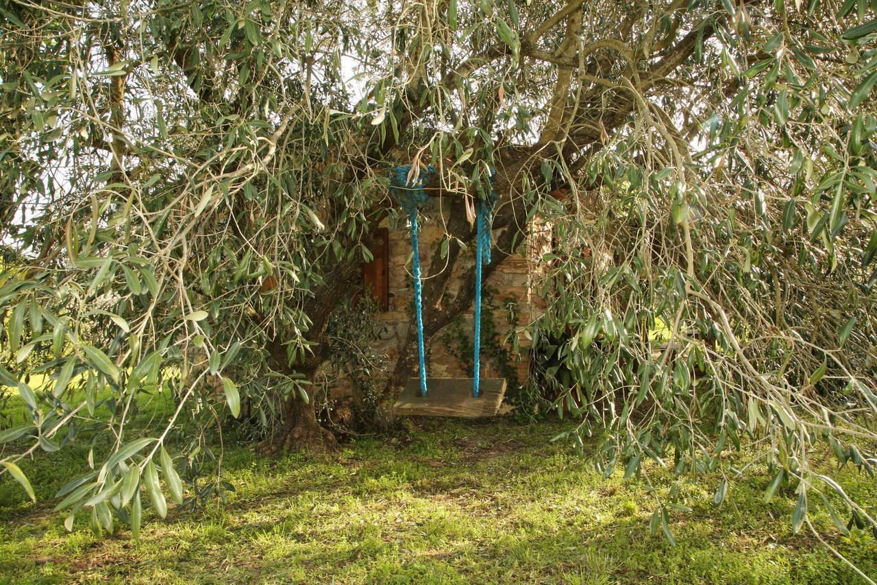 Casale Vigna Carbona ξενώνας Gavorrano Εξωτερικό φωτογραφία