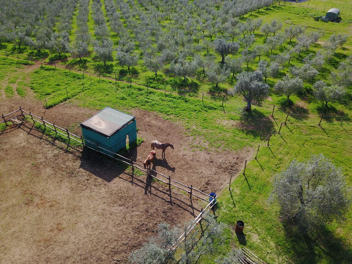 Casale Vigna Carbona ξενώνας Gavorrano Εξωτερικό φωτογραφία