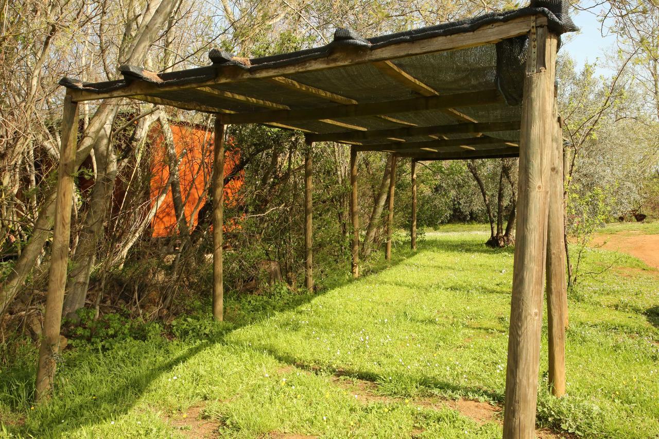 Casale Vigna Carbona ξενώνας Gavorrano Εξωτερικό φωτογραφία